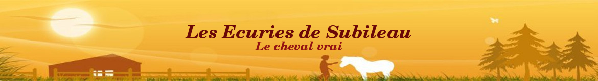Les Ecuries de Subileau